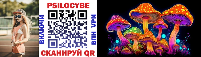 Галлюциногенные грибы Psilocybe  ОМГ ОМГ tor  Галич  купить закладку 