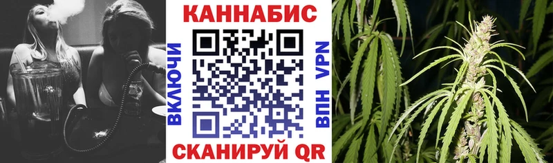 МАРИХУАНА OG Kush  Галич 